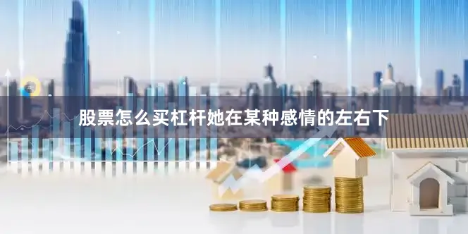 股票怎么买杠杆她在某种感情的左右下