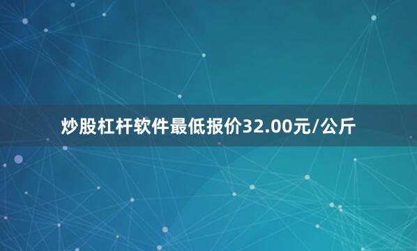 炒股杠杆软件最低报价32.00元/公斤