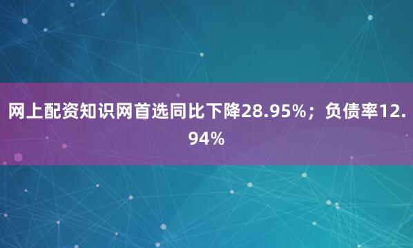 网上配资知识网首选同比下降28.95%;负债率12.94%