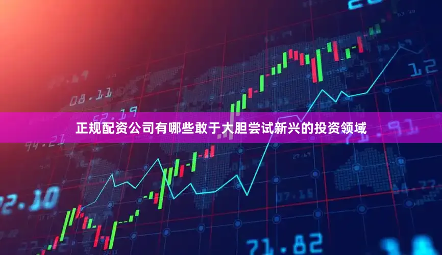 正规配资公司有哪些敢于大胆尝试新兴的投资领域