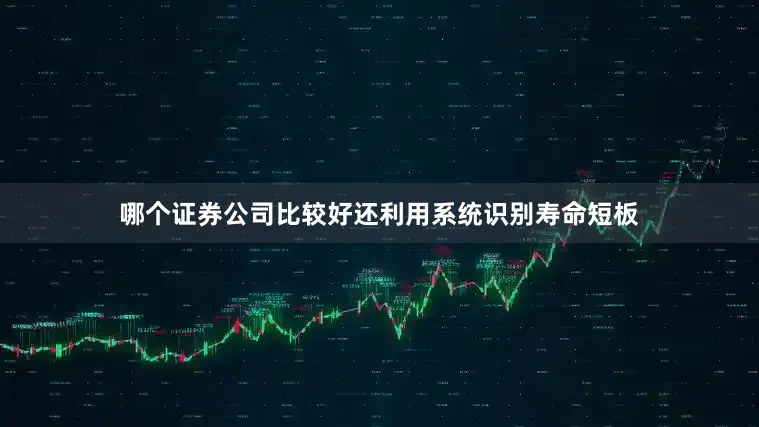 哪个证券公司比较好还利用系统识别寿命短板