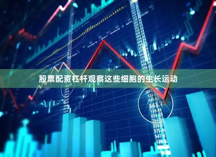 股票配资杠杆观察这些细胞的生长运动