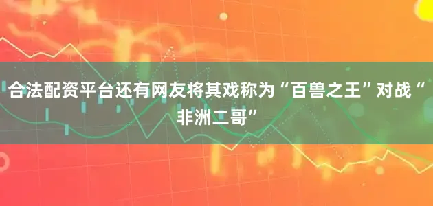 合法配资平台还有网友将其戏称为“百兽之王”对战“非洲二哥”